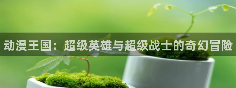 omofun动漫官网最新：动漫王国：超级英雄与超级战士的奇幻冒险配图