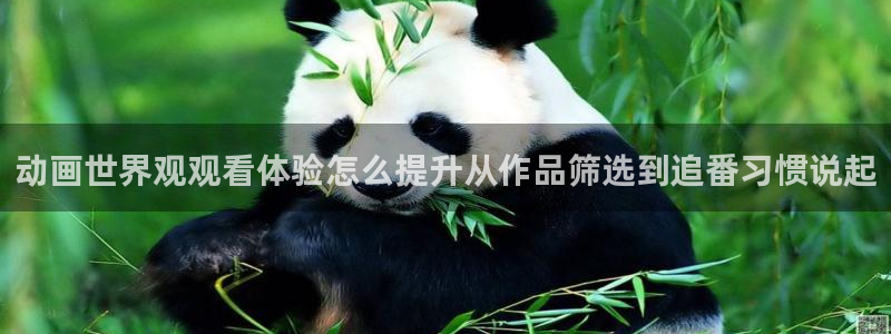 omofun动漫官网热门动漫：动画世界观观看体验怎么提升从作品筛选到追番习惯说起配图