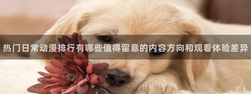 omofun热门搜索：热门日常动漫排行有哪些值得留意的内容方向和观看体验差异配图