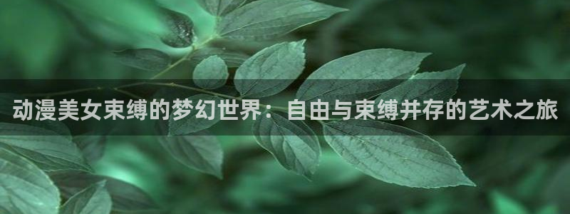 omofun动漫完整版：动漫美女束缚的梦幻世界：自由与束缚并存的艺术之旅配图