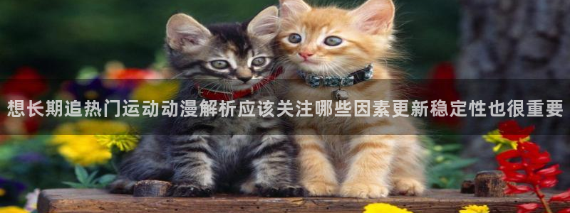 omofun热门新作:想长期追热门运动动漫解析应该关注哪些因素更新稳定性也很重要配图