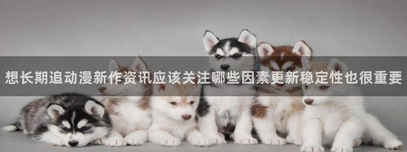 omofun动漫新作:想长期追动漫新作资讯应该关注哪些因素更新稳定性也很重要配图