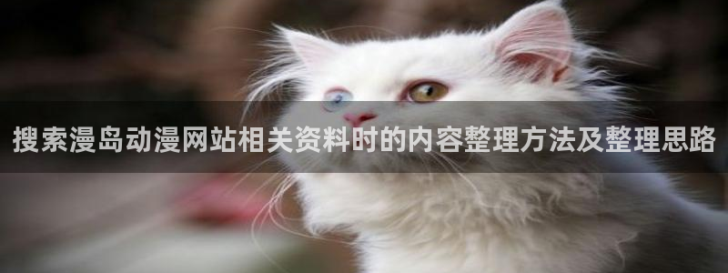 omofun新番免费观看:搜索漫岛动漫网站相关资料时的内容整理方法及整理思路配图